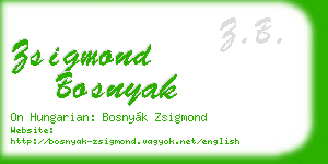 zsigmond bosnyak business card